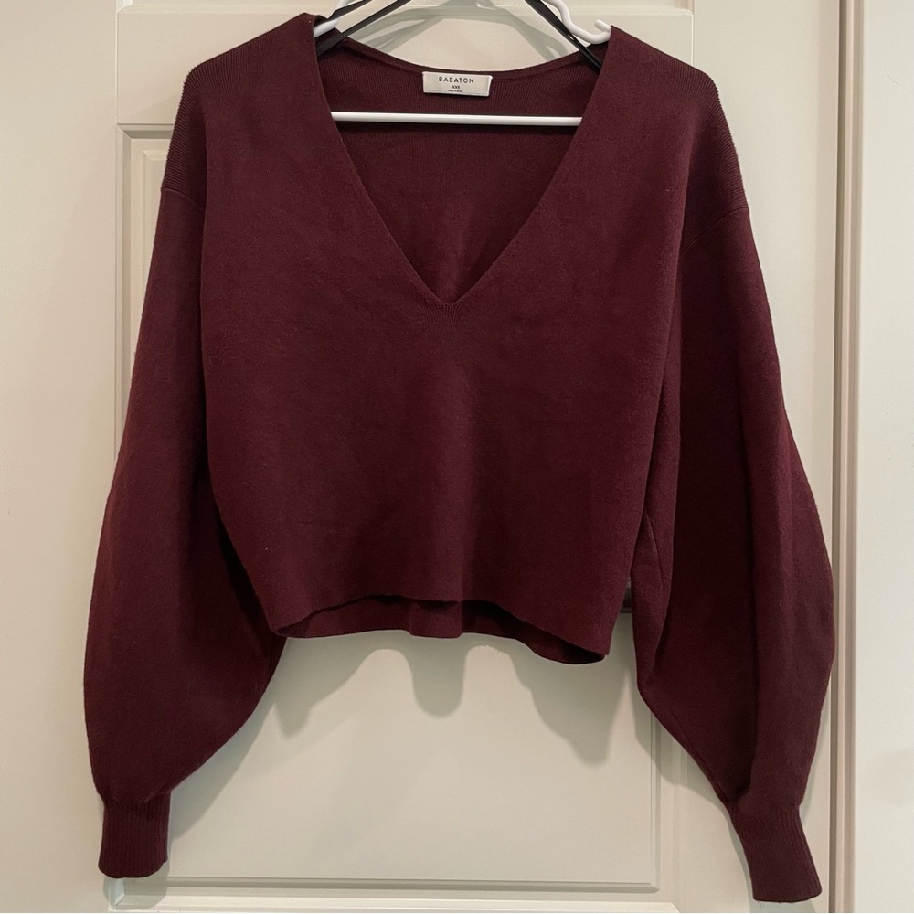 Aritzia Babaton Wren Sweater